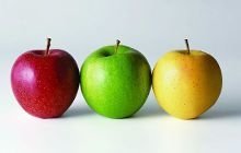 教师资格证面试获得通过率