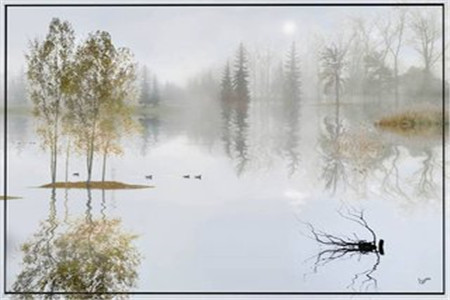 2020年中小学教师资格证报考条件是什么？