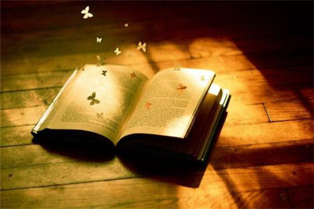 2020年浙江非师范类教师报名条件是什么?