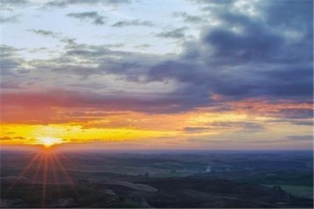 2020浙江小学教师资格证需要考哪些科目