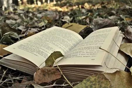 浙江语文教师资格证普通话要求?