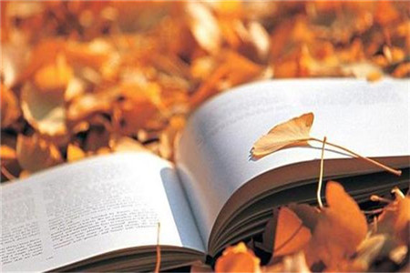 浙江省教师资格证面试准考证打印须知