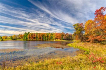 非师范生可以考浙江教师编制吗?