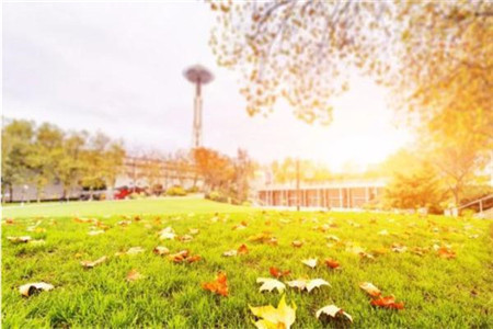 浙江教师资格证笔试成绩怎么算？