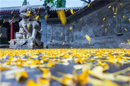 浙江教师资格证考试需要携带哪些东西？