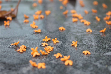 浙江教师资格考试笔试考些什么？