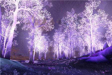 浙江幼师证和职业技能证书一样吗？