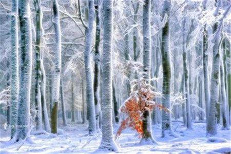 为什么当老师都想要考浙江教编？