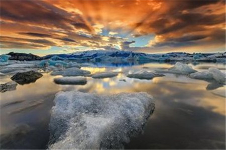 浙江小学教资考试报考条件是什么?