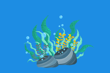 浙江中小学教师资格证要求普通话等级是多少 