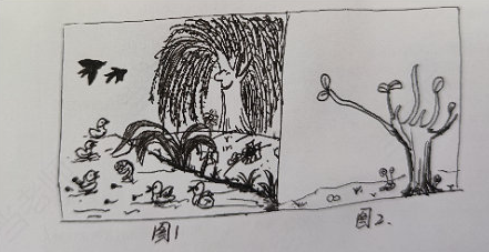 浙江幼儿教师资格考试