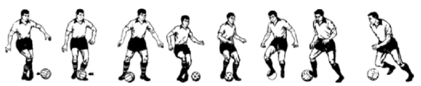 浙江小学教师资格考试